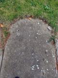 image of grave number 377571